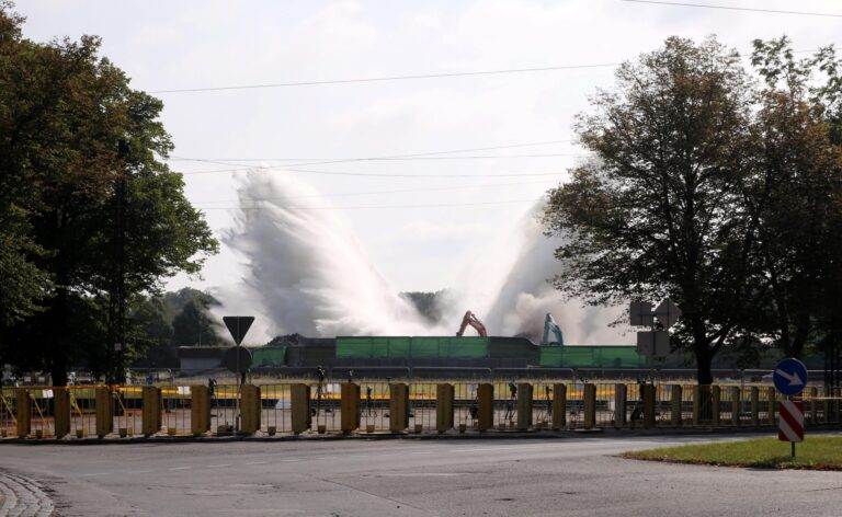 Pārdaugavas pieminekļa baseinā dzīvojusi tonna zivju