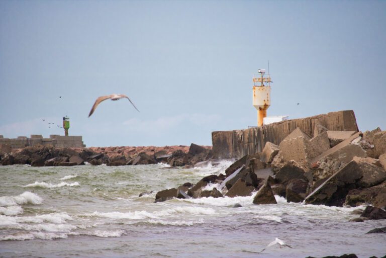 Satiksmes ministrija, Latvijas ostas, kravu apjomi,