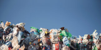 AS Latvijas zaļais punkts, atkritumu šķirošana, atkritumu pārstrāde, ilgspējīgs patēriņš,