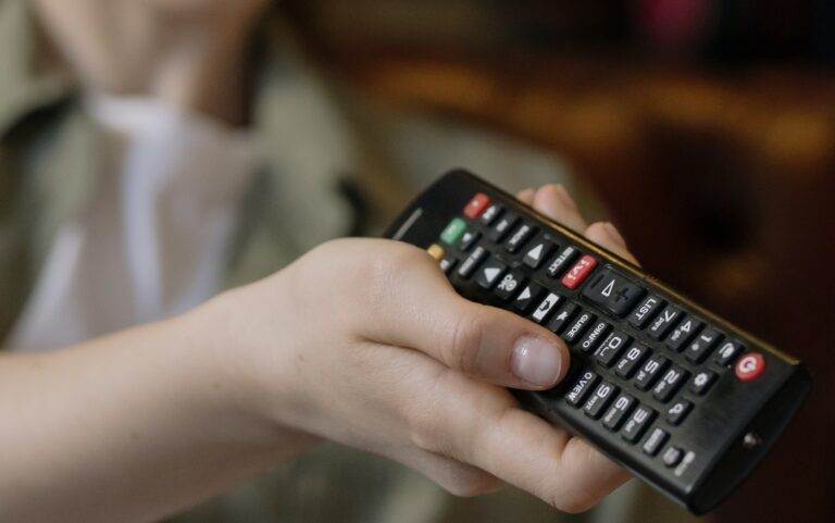 Krievijas televīzija, NEPLP, Valsts policija,