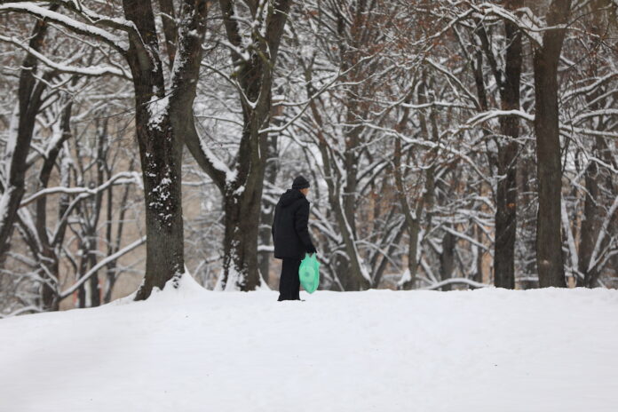 ziema, kapsēta, meži, sniegs, bīstami, Rīgas pašvaldība, aicinājums