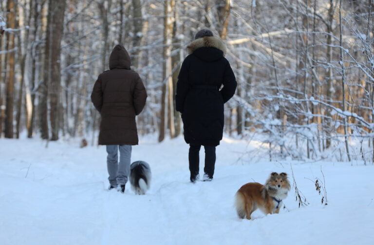 Jaunais gads, laiks, ziema, sals