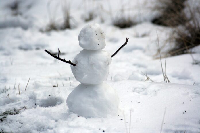 sniegavīrs, Tartu, Neo, Igaunija, lielākais sniegavīrs