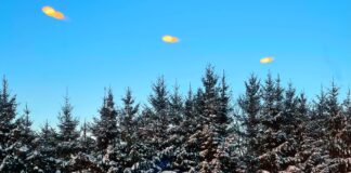 sals, ziema, sniegs, aukstums