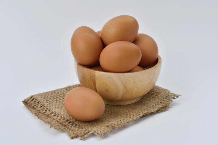 olas, olas uzturā, holestarīns, uztura speciāliste, mīti par olām, olas uzturā, cik olas dienā var ēst