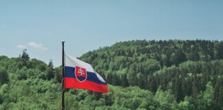 Slovākija, vēlēšanas, prezidenta vēlēšanas