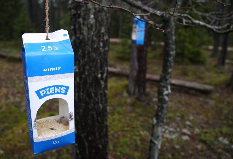 piesārņojums, mežs, daba, kopt dabu, saudzēt dabu, atkritumi, AS “Latvijas valsts meži