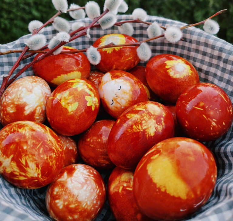 olas, olu krāsošana, olu krasošana ar dabas krāsām, Lieldienas, Lieldienu olas, sīpolu mizas