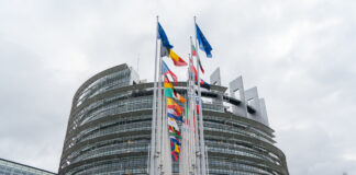 izmeklēšanu, Eiropas Parlaments, AfD, Beļģija, Strasbūra