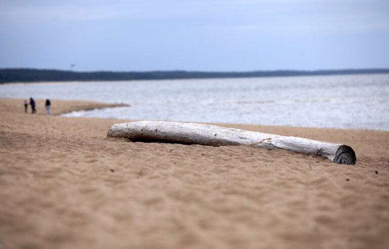 vasara, jūnijs, laika prognoze, karstums, sausums, lietus