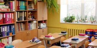 valodas zināšanas, Rīgas pedagogi, izglītība