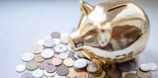 Kariņš, Kažoka, Kariņa avioreisu skandāls, Valsts pārvalde