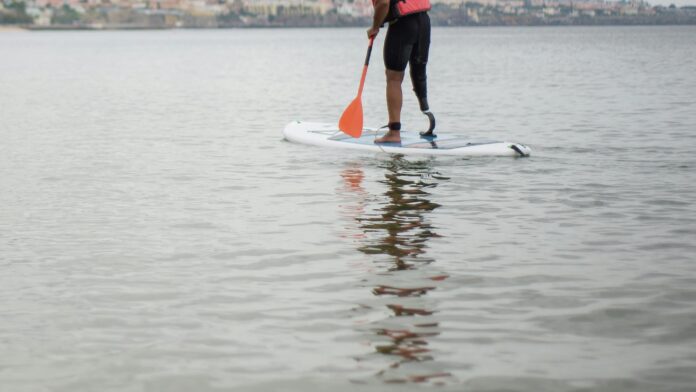 SUP, Krievijas robeža, robežas šķēršošana, Pujāts