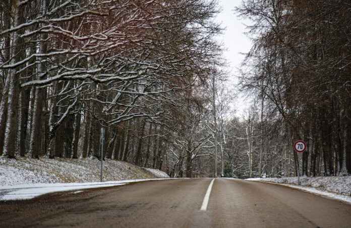 laiks, novembris, ziemīgi, sniegs, vējš