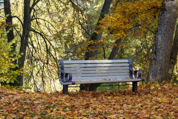 laiks, rudens, novembris