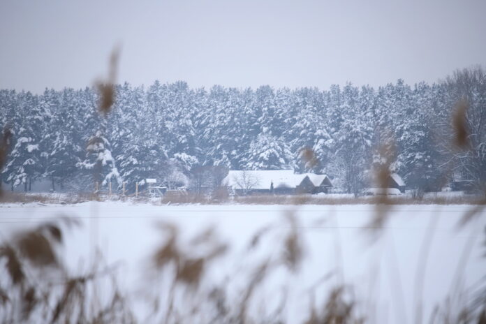 laiks, ziema, sniegs, decembris, laika prognoze