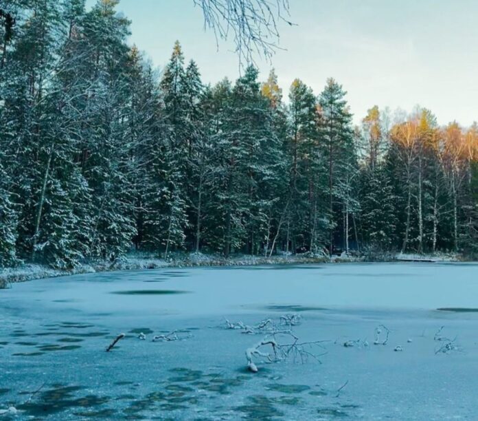 laika prognoze, ziema, sniegs, slideni ceļi, brīvdienas