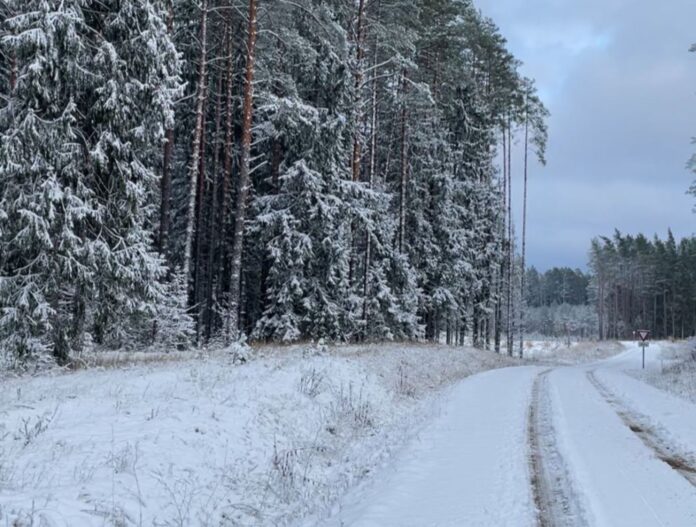 laika prognoze, decembris, ziema, vējš, sniegs