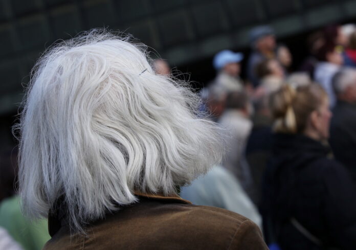 VID, VSAA, pensionāri, pensija, pensiju aprēķins, Siliņa, valsts iestādes, pensiju aprēķins