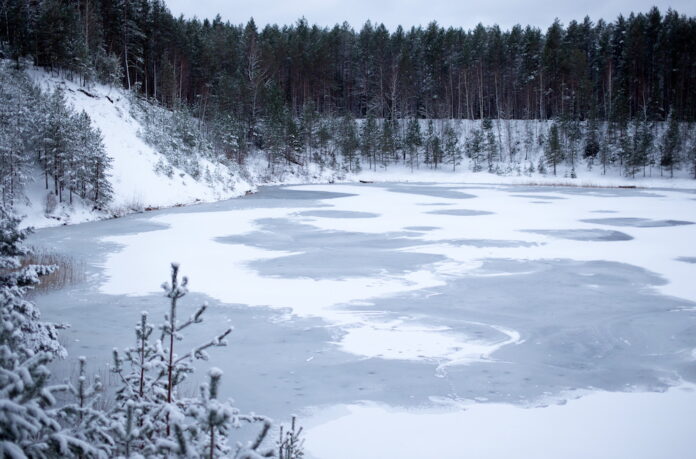 ziema, kūst sniegs, sniega sega, janvāris