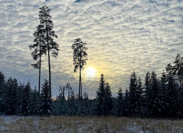 laiks, ziema, laika prognoze, janvāris