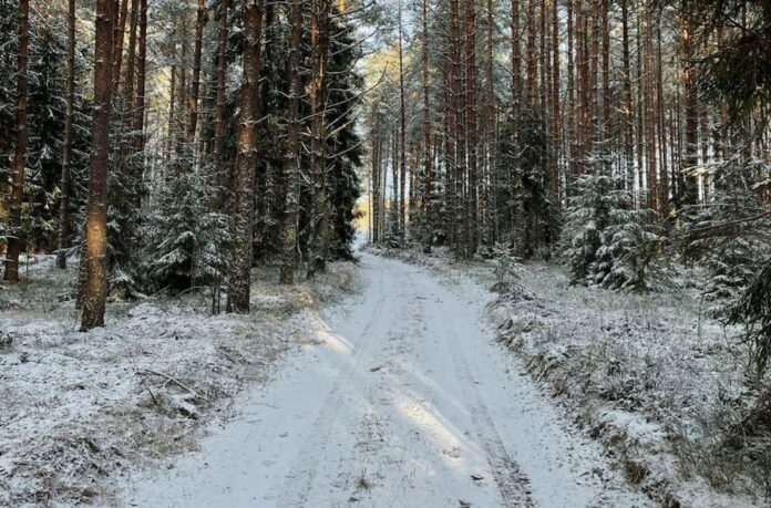 laika prognoze, laiks, ziema, janvāris, slapjš sniegs, slideni ceļi