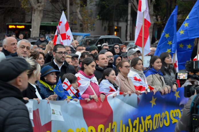 Gruzija, protesti, Gruzijas sapnis, sodi