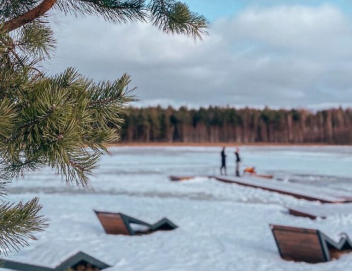 ziema, februāris, sniegs, aukstums, laika prognoze