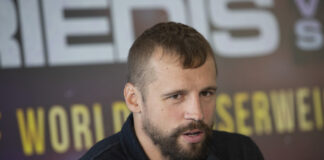 Mairis Briedis, Stabilitātei, pašvaldību vēlēšanas