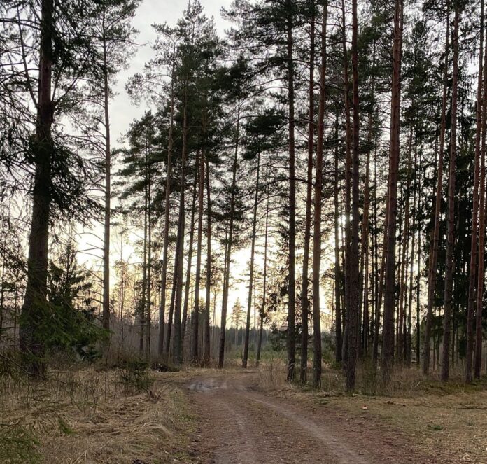 laika prognoze, pavasaris, dubļi, marts