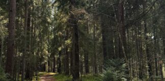 laiks, brīvdienas, pavasaris, laika prognoze, aprīlis