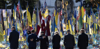 Volodimirs Zelenskis, Donalds Tramps, pamiers, sarunas, sarunas Turcijā, Vladimirs Putins, karš Ukrainā