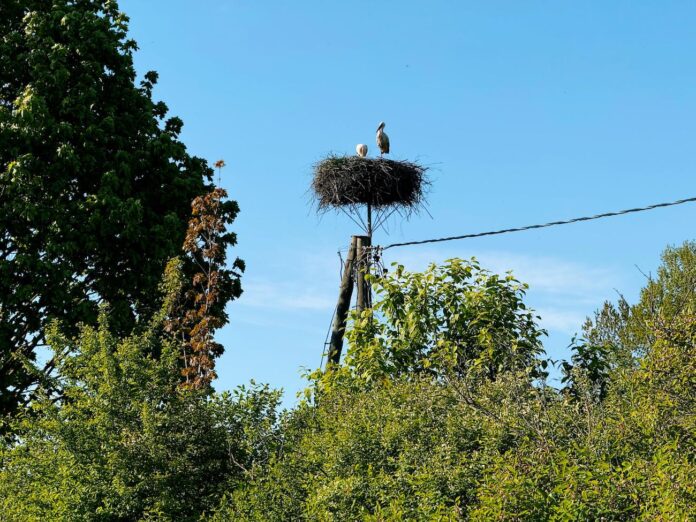lietus, stiprs lietus, lietains laiks, maijs, brīvdienas