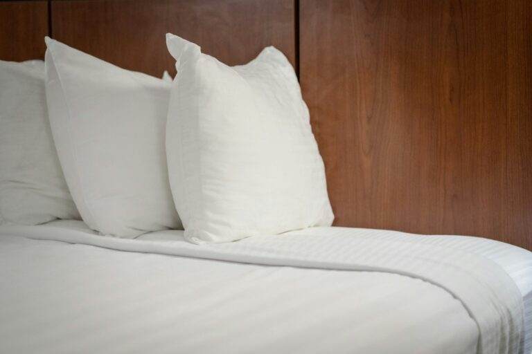 blaktis, gultas blaktis, parazīti, matrači, gultas, ceļojumi, siltas zemes, tīrība, kodumi