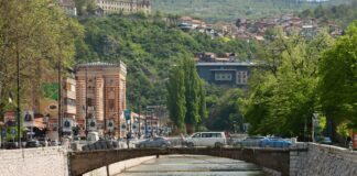 Sarajeva, žurkas, sanitārā tīrība, slimības, Bosnija un Hercegovina,