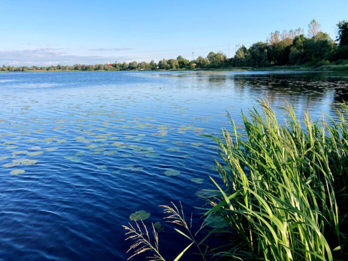 laikapstākļi Latvijā, laikapstākļu prognoze, lietus prognoze, jūlija sākuma laiks, sinoptiķu prognoze, gaisa temperatūra Latvijā, vējš Latvijā, brīvdienu laiks, meteoroloģiskā prognoze,