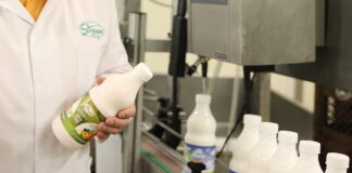 E.coli uzliesmojums, Straupes piena produkti, bērnu infekcija Latvijā, SPKC pētījums, pārtikas drošība, piena produkti un veselība, bīstamās baktērijas, bērnudārzu infekcijas