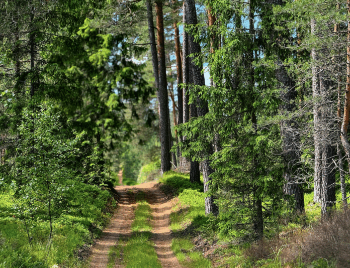 laikapstākļi Latvijā, brīvdienu prognoze, sestdien lietus, svētdien saule, pērkona negaiss, sinoptiķu prognoze, gaisa temperatūra Latvijā, vēja brāzmas, nākamās nedēļas laikapstākļi,