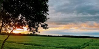 laikapstākļu prognoze Latvijā, lietus un negaiss, migla uz ceļiem, silts laiks jūlijā, nedēļas laika prognoze, temperatūra Latvijā, pērkona lietusgāzes, mākoņains laiks, vasaras laikapstākļi,
