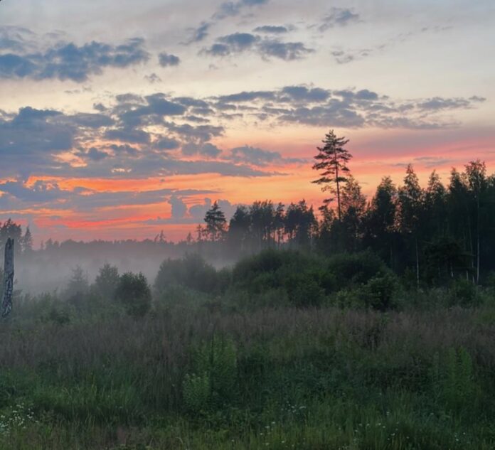 laikapstākļi Latvijā, laika prognoze nedēļas nogale, pērkona negaiss, krusa Latvijā, UV starojums, migla no rīta, +29 grādi Latvijā, sinoptiķu brīdinājumi, lietus brīvdienās