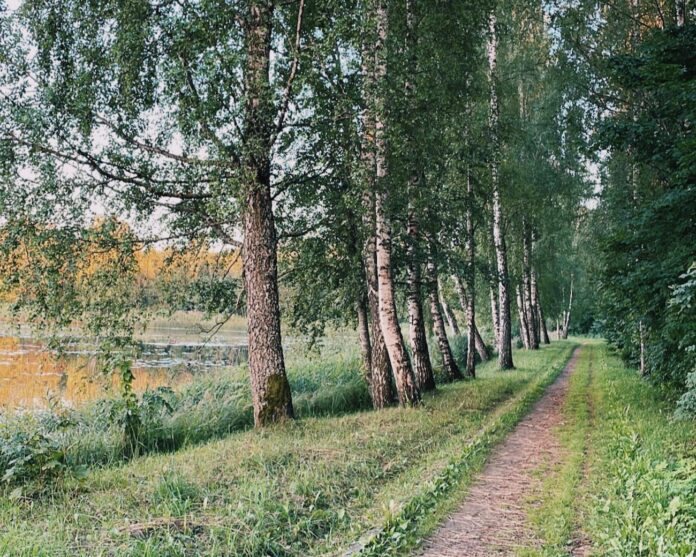 laikaprognoze Latvija, negaiss Latvijā, lietusgāzes, pērkona negaiss, ciklons, migla, vasaras laiks, laiks šonedēļ, gaisa temperatūra, trešdienas laikapstākļi, brīvdienu laiks