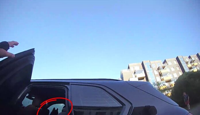 suns automašīnā karstumā, Rīgas pašvaldības policija, suns bezpalīdzīgā stāvoklī, dzīvnieku glābšana, sods par dzīvnieku atstāšanu auto, sakarsis auto suns,