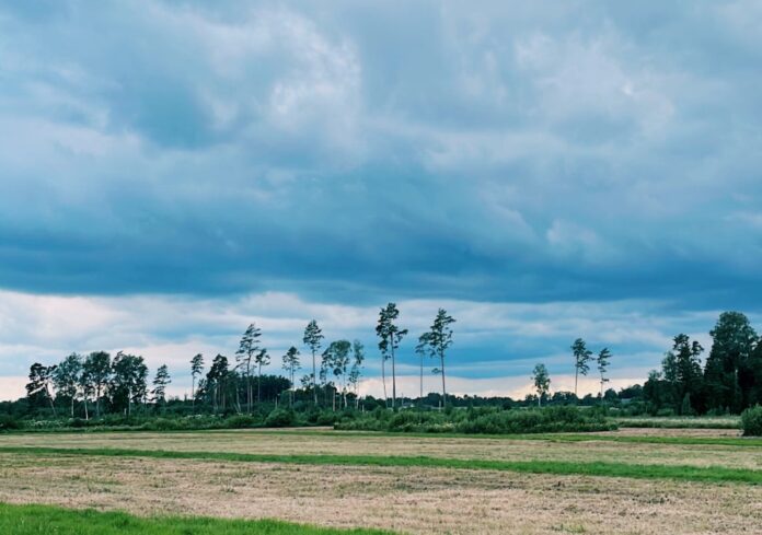 laikapstākļu prognoze Latvijā, lietus un negaiss, Latvijas sinoptiķu brīdinājums, stipras lietusgāzes, laikapstākļi jūlijā, migla un vējš, pērkona negaiss prognoze