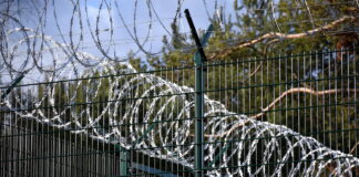 Lietuvas robežsargi Latvijā, robeža ar Baltkrieviju, nelegālā migrācija, robežsardzes palīdzība, kinologi uz robežas, Baltijas drošība, VSAT, robežapsardze Latvijā, migrācijas novēršana, starpvalstu sadarbība, Lietuva palīdz Latvijai, robežas patrulēšana