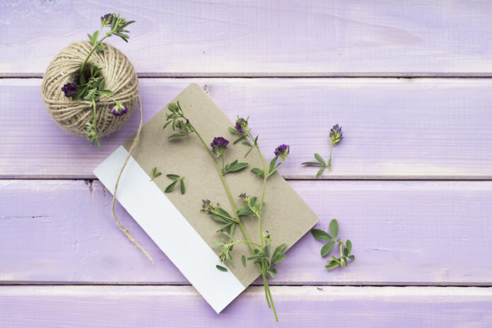 ziedu žāvēšana, kā žāvēt ziedus, vasaras ziedi, kā saglabāt vasaru, kartiņas ar ziediem, personalizētas kartiņas, radošas dāvanas, bērnu aktivitātes ar ziediem, vasara ziemā, dabīgas kartiņas, dāvanas ar ziediem, dāvanas no dabas, žāvēti augi, DIY kartiņas, vasaras smarža ziemā