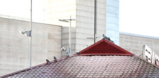 azartspēles Rīgā, kazino Rīga, azartspēļu aizliegums, Satversmes tiesa azartspēles, Olympic Casino, Klondaika, Alfor, azartspēļu zāļu slēgšana Rīgā, Rīgas dome kazino