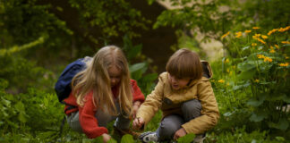 vasaras aktivitātes bērniem, ģimenes atpūta dabā, pikniks ar bērniem, idejas bērnu brīvlaikam, ziedu herbārijs, dabas spēles bērniem, zvaigžņu vērošana, lētas aktivitātes bērniem, bērnu vasaras piedzīvojumi