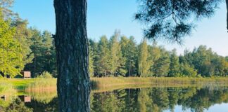 laikapstākļi Latvijā, laika prognoze brīvdienām, pērkona negaiss Latvijā, ciklons Latvijā, LVĢMC prognoze, laikapstākļi augustā, lietus prognoze, gaisa temperatūra Latvijā