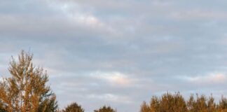 aika prognoze Latvija, sinoptiķu prognoze, laiks otrdien trešdien, pērkona negaiss Latvijā, lietus prognoze, laiks nedēļas nogalē, gaisa temperatūra +28, laika ziņas Latvijā, negaisa brīdinājums, LVĢMC prognoze