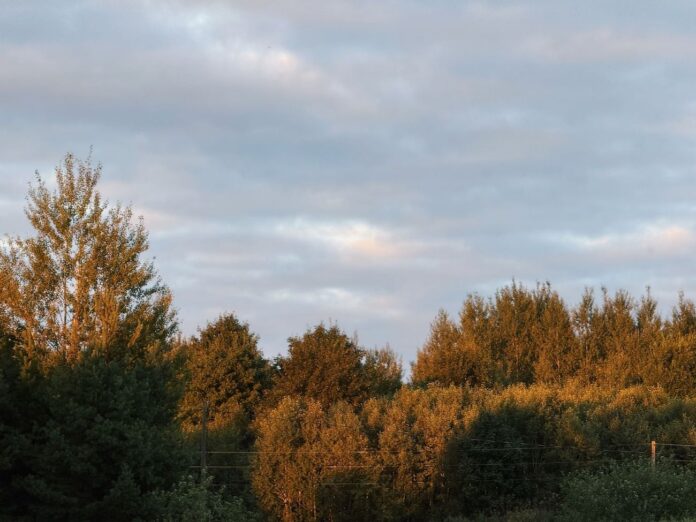 aika prognoze Latvija, sinoptiķu prognoze, laiks otrdien trešdien, pērkona negaiss Latvijā, lietus prognoze, laiks nedēļas nogalē, gaisa temperatūra +28, laika ziņas Latvijā, negaisa brīdinājums, LVĢMC prognoze